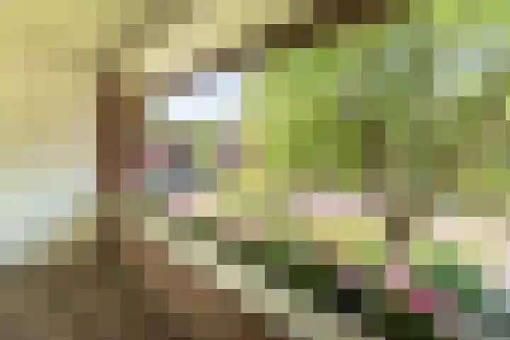 Wijnoldy Daniëlslaan 14 Santpoort-Zuid thumbnail 32