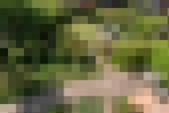 Wijnoldy Daniëlslaan 14 Santpoort-Zuid thumbnail 33