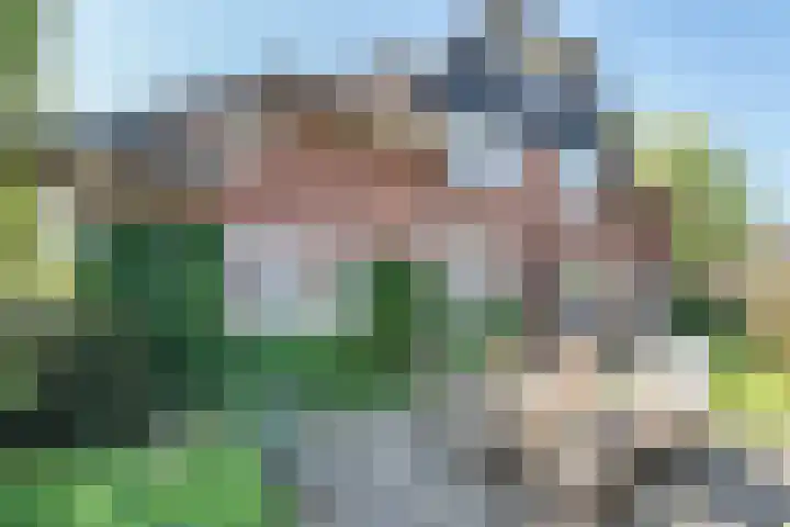Wijnoldy Daniëlslaan 14 Santpoort-Zuid thumbnail 46