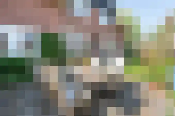 Wijnoldy Daniëlslaan 14 Santpoort-Zuid thumbnail 47