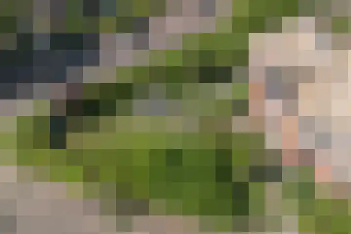 Wijnoldy Daniëlslaan 14 Santpoort-Zuid thumbnail 51