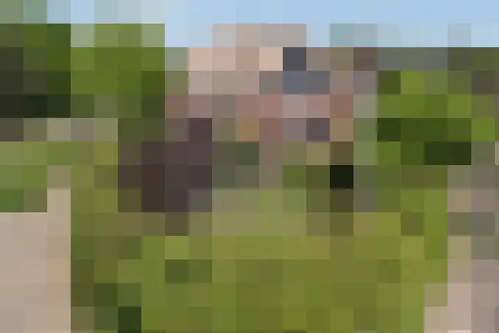 Wijnoldy Daniëlslaan 14 Santpoort-Zuid thumbnail 52