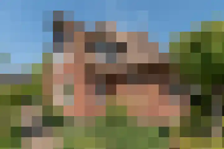Wijnoldy Daniëlslaan 14 Santpoort-Zuid thumbnail 53