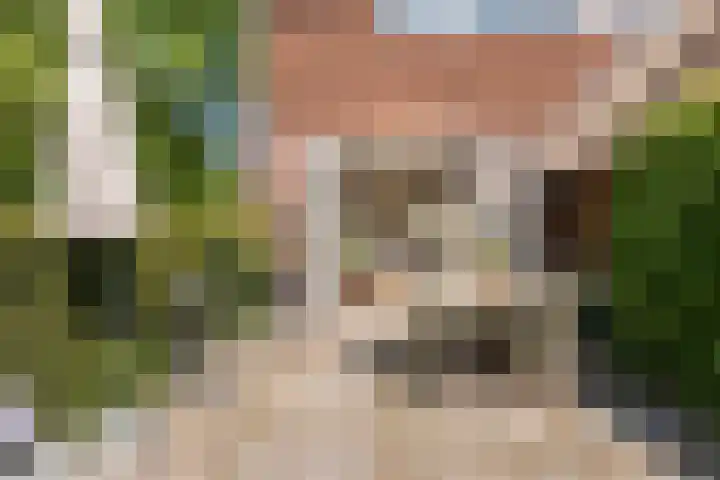 Wijnoldy Daniëlslaan 14 Santpoort-Zuid thumbnail 7
