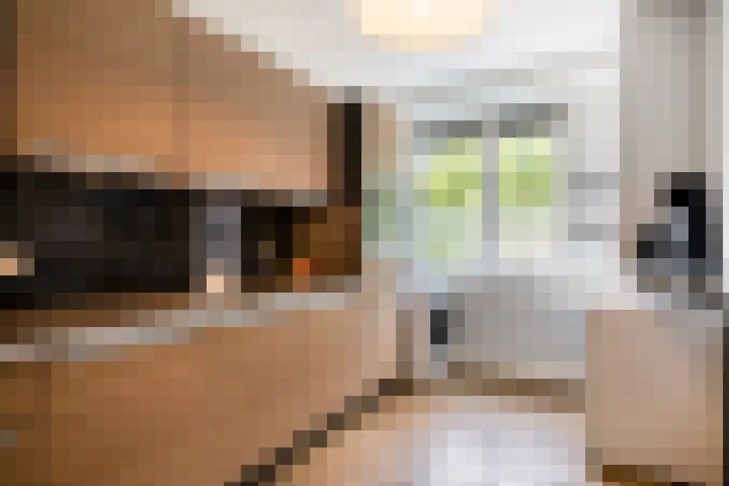 Wijnpeerstraat 21 Eindhoven thumbnail 14