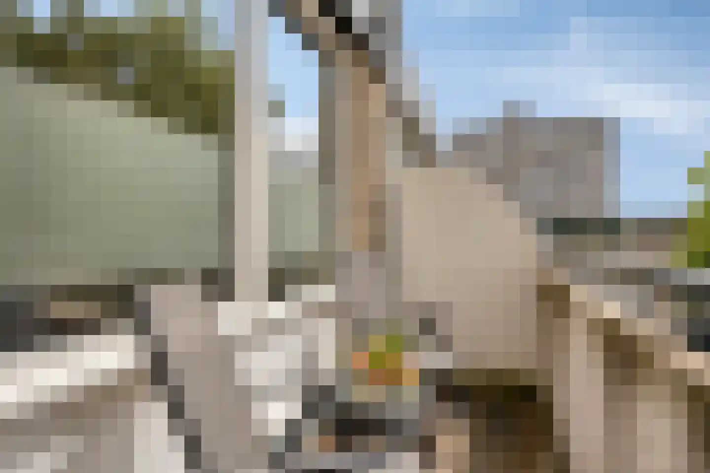 Wijnpeerstraat 21 Eindhoven thumbnail 26