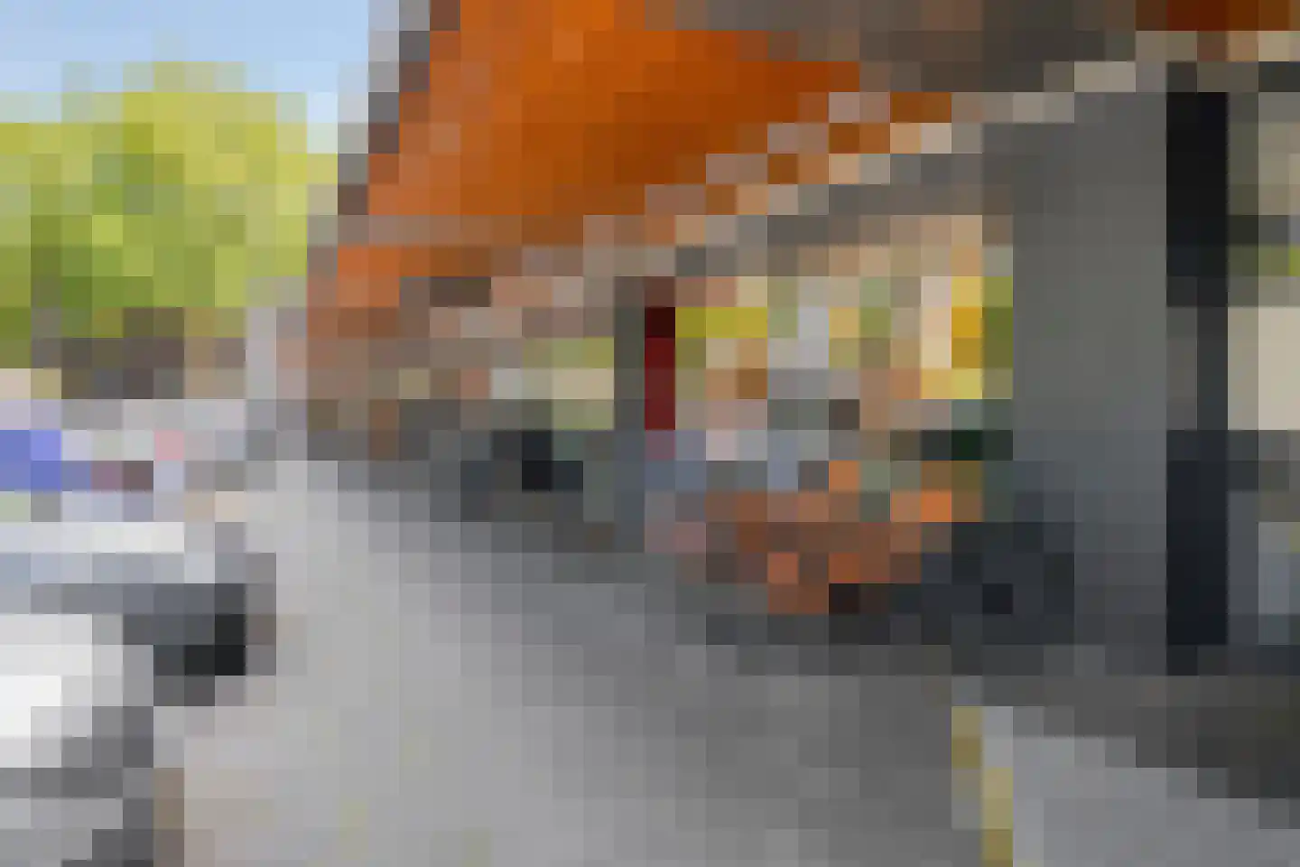 Wijnpeerstraat 21 Eindhoven thumbnail 27