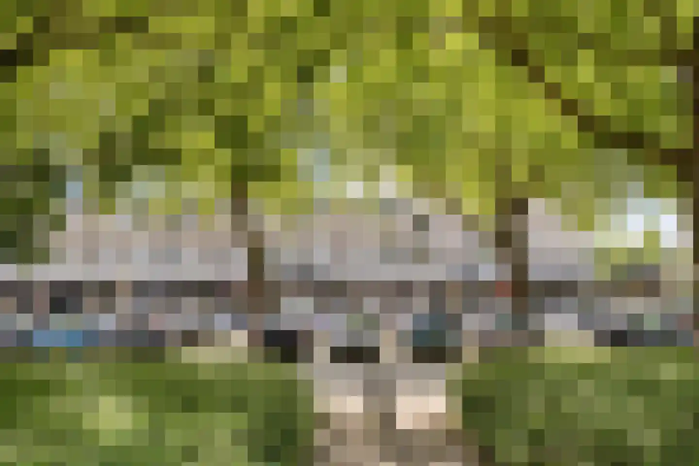 Wijnpeerstraat 21 Eindhoven thumbnail 30