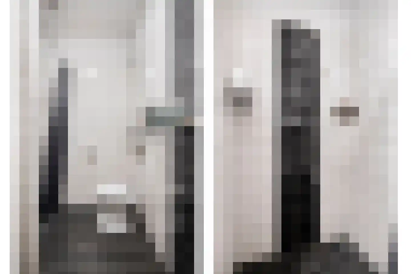 Wijnpeerstraat 21 Eindhoven thumbnail 5
