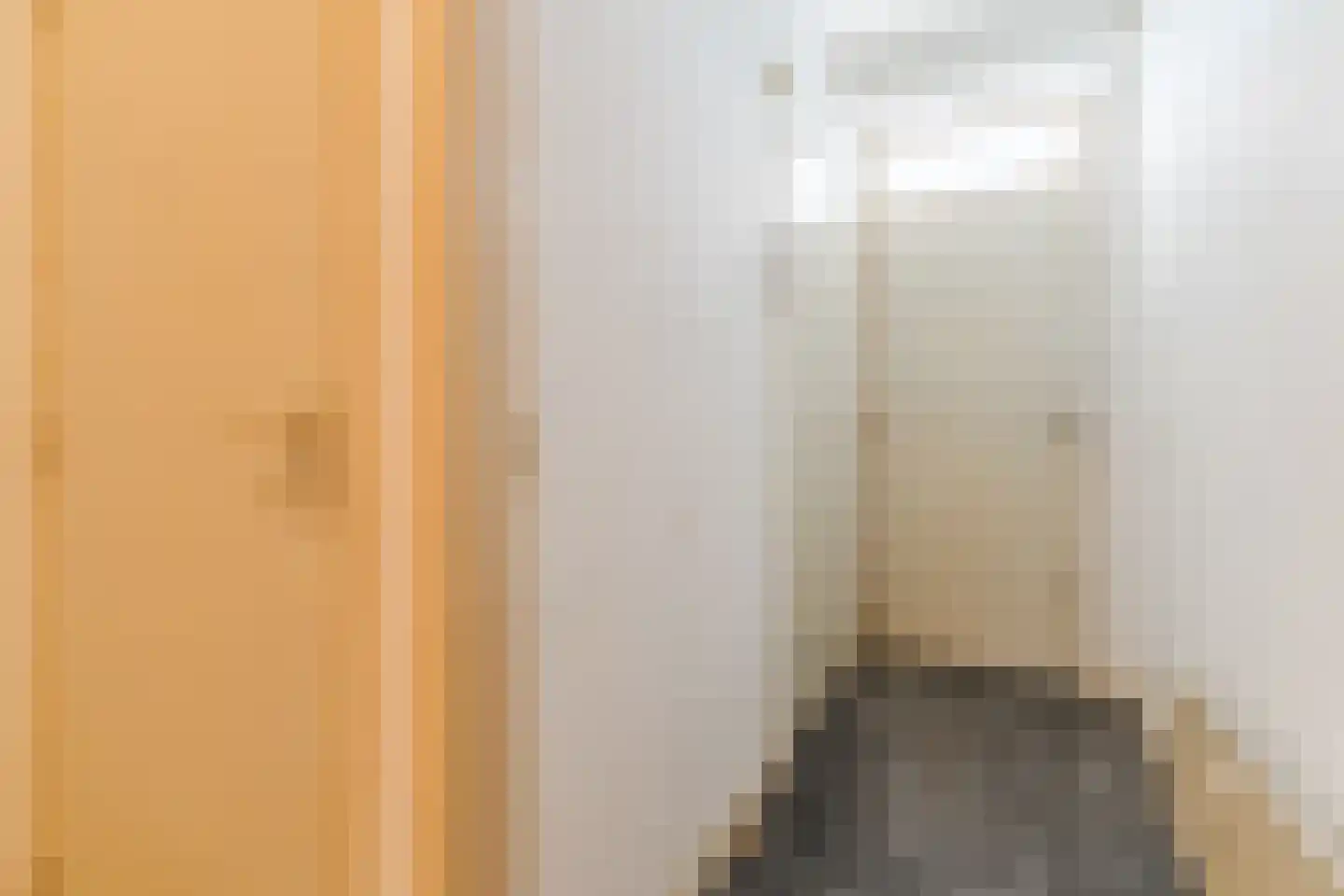 Wijnpeerstraat 41 Eindhoven thumbnail 12