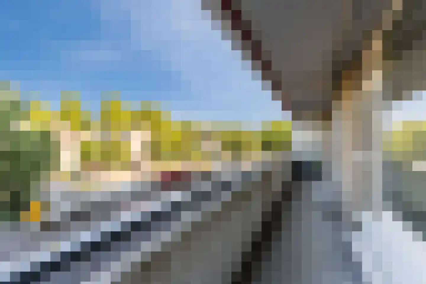 Wijnpeerstraat 41 Eindhoven thumbnail 33