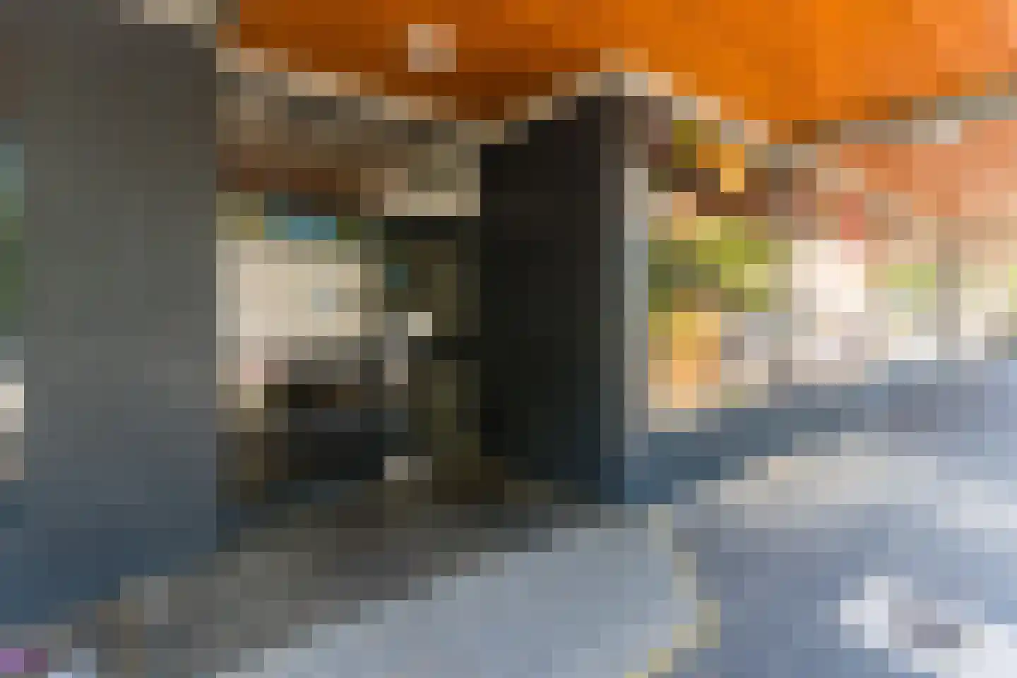 Wijnpeerstraat 41 Eindhoven thumbnail 5