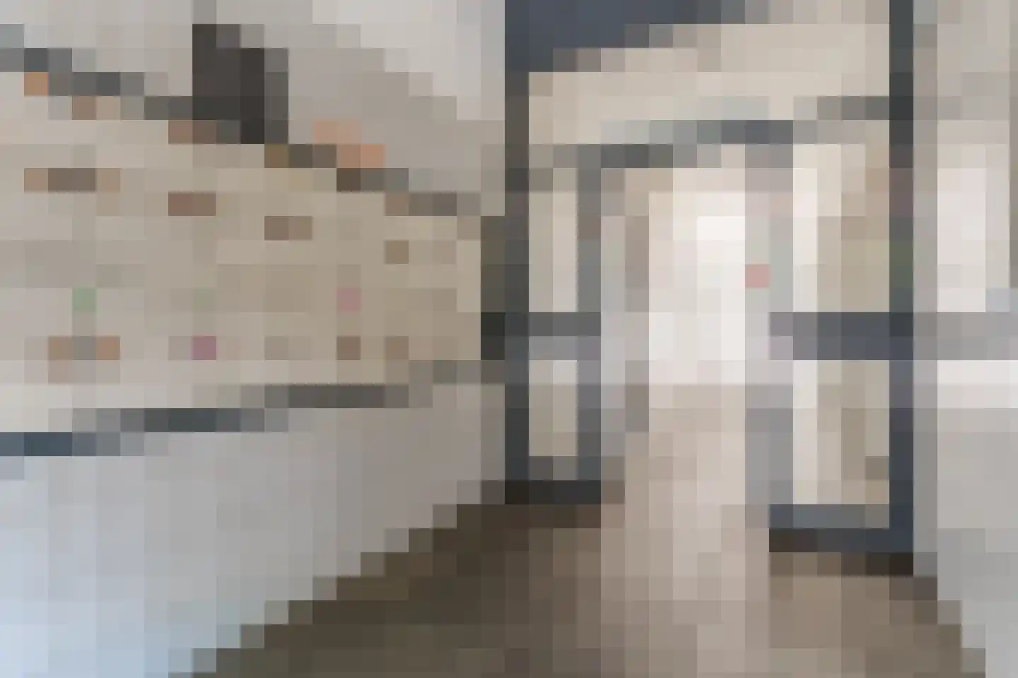 Wijnpeerstraat 41 Eindhoven thumbnail 7