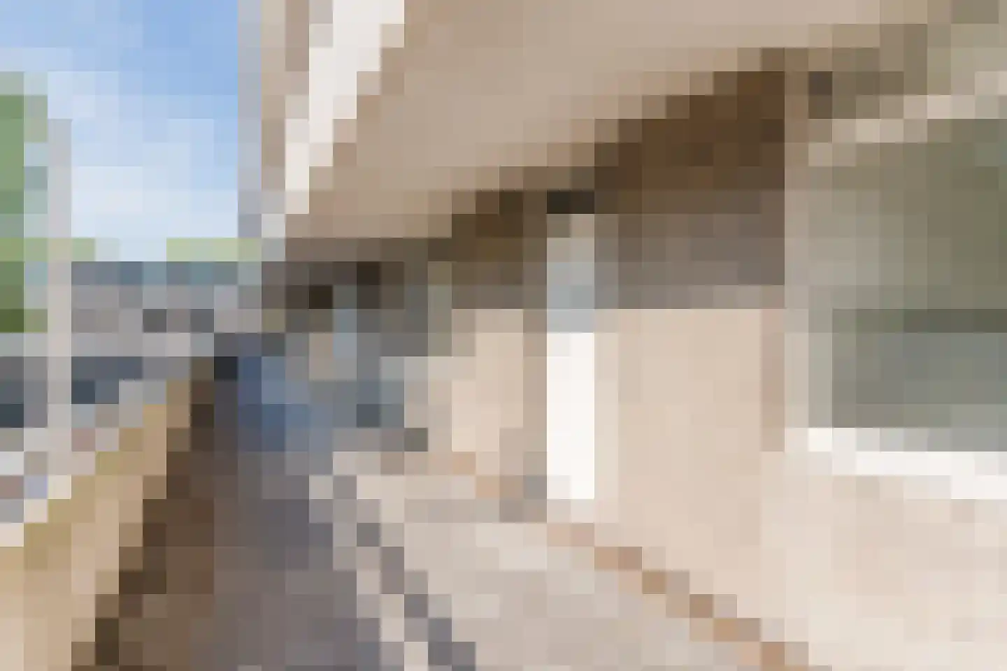 Wijnpeerstraat 41 Eindhoven thumbnail 8