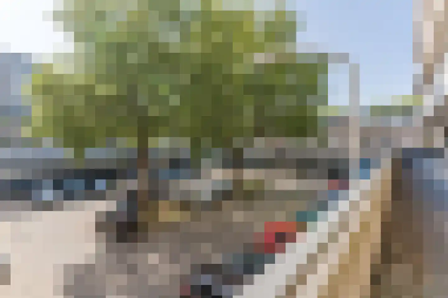 Wijnpeerstraat 41 Eindhoven thumbnail 9