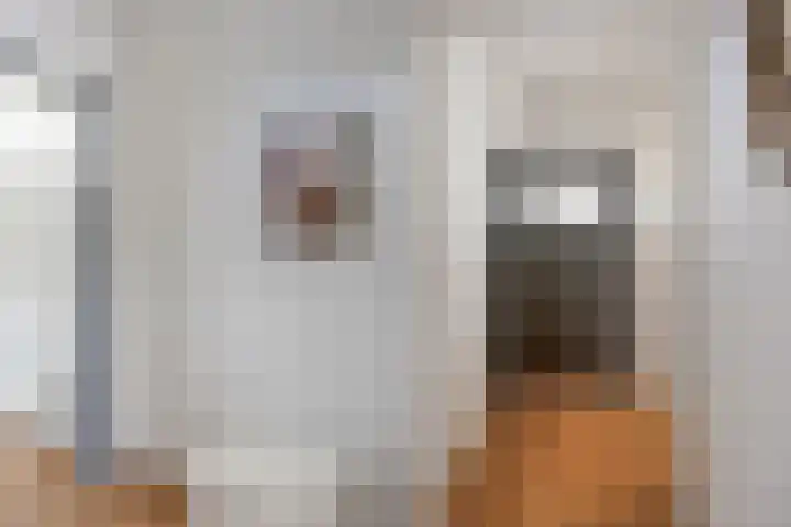 Wijnpeerstraat 65 Eindhoven thumbnail 10