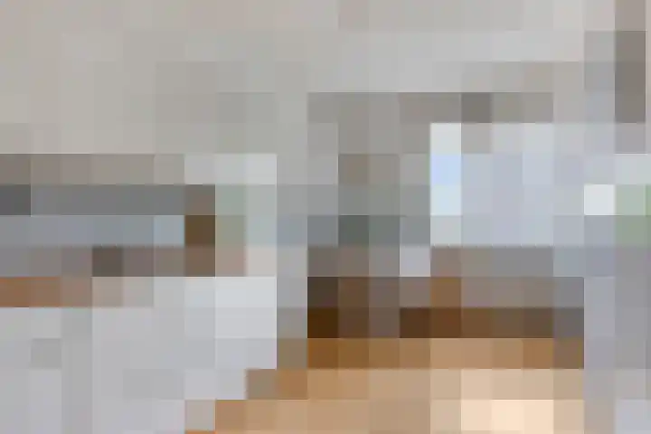 Wijnpeerstraat 65 Eindhoven thumbnail 18