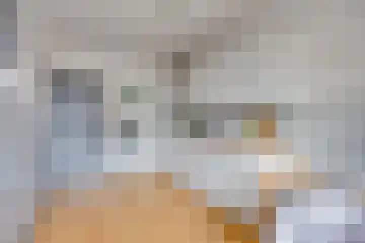 Wijnpeerstraat 65 Eindhoven thumbnail 19