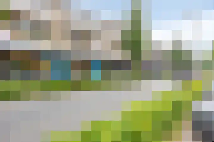 Wijnpeerstraat 65 Eindhoven thumbnail 32
