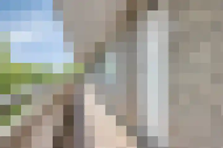 Wijnpeerstraat 65 Eindhoven thumbnail 6
