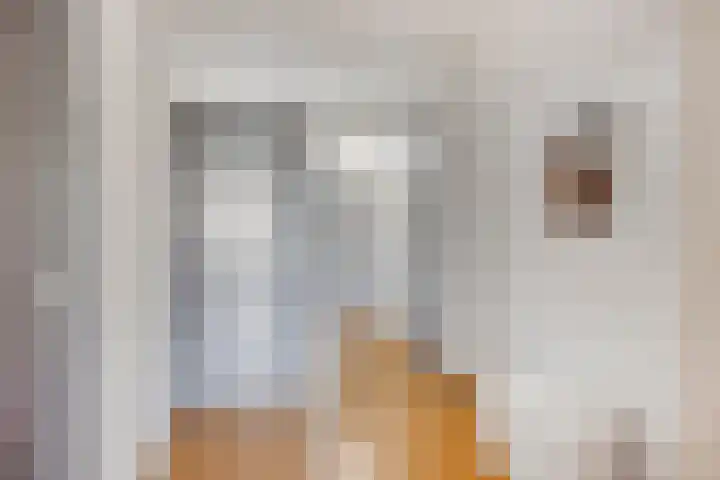 Wijnpeerstraat 65 Eindhoven thumbnail 9