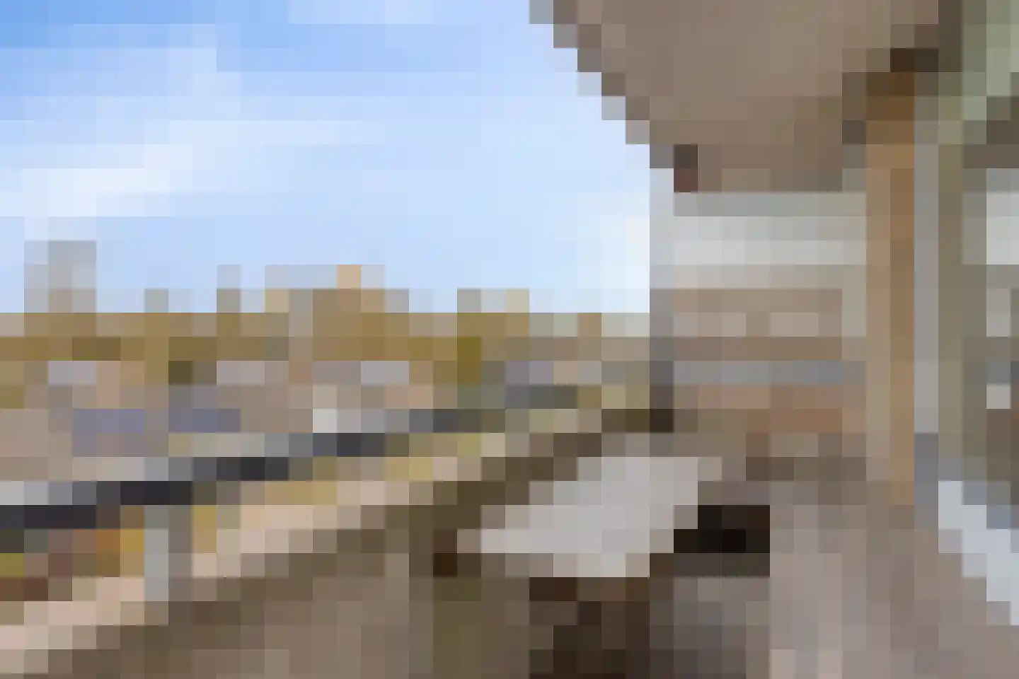 Wijnpeerstraat 69 Eindhoven thumbnail 14