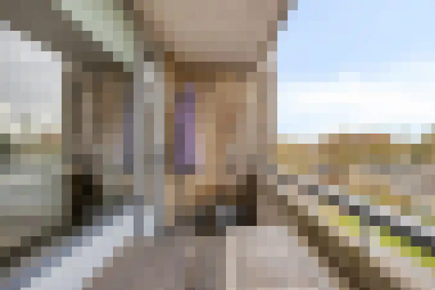 Wijnpeerstraat 69 Eindhoven thumbnail 15
