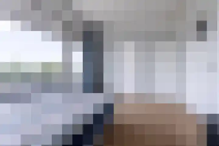 Wijnpeerstraat 73 Eindhoven thumbnail 28