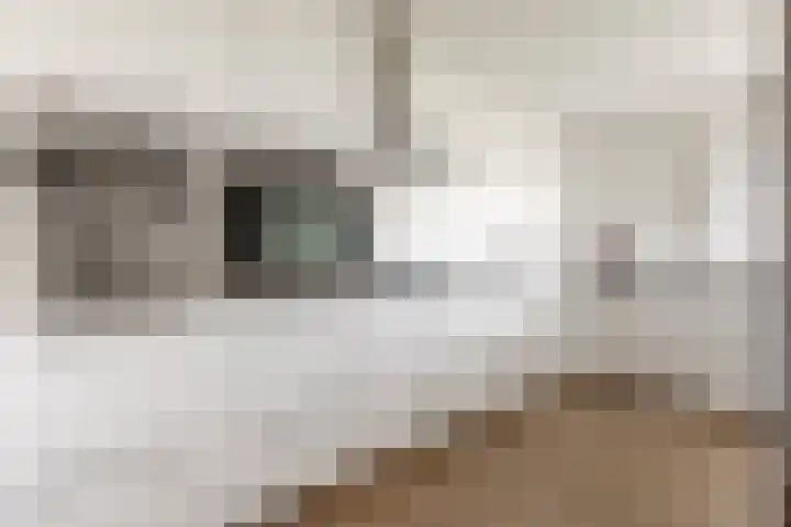 Wijnpeerstraat 73 Eindhoven foto 3