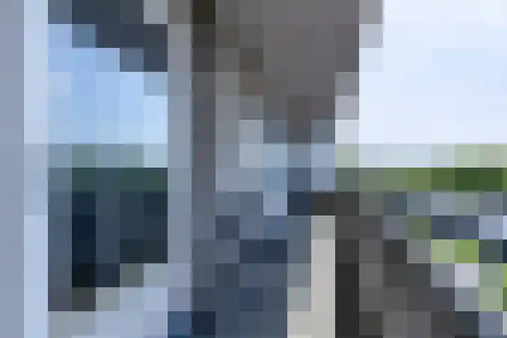 Wijnpeerstraat 73 Eindhoven thumbnail 30
