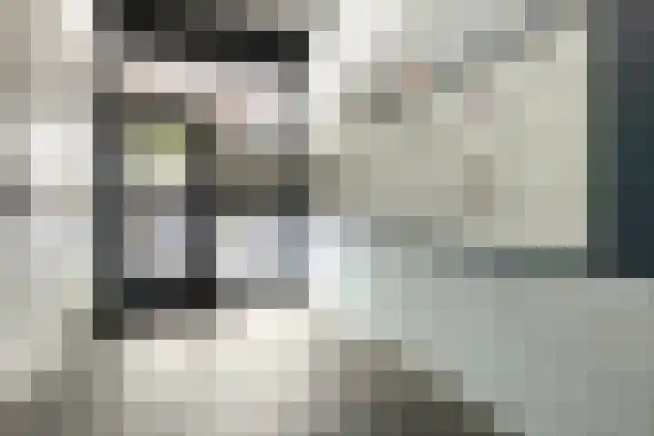 Wijnpeerstraat 73 Eindhoven thumbnail 7