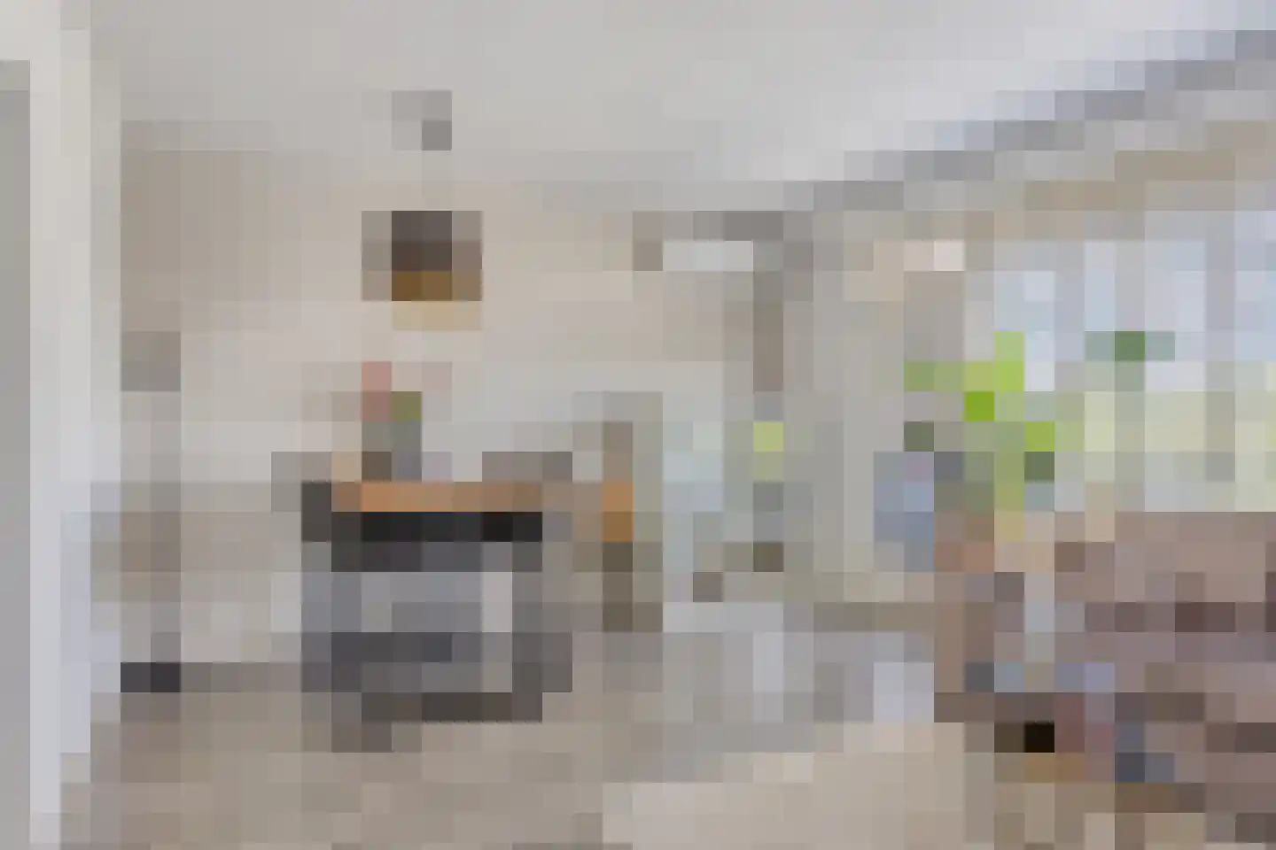 Wijnpeerstraat 77 Eindhoven thumbnail 13