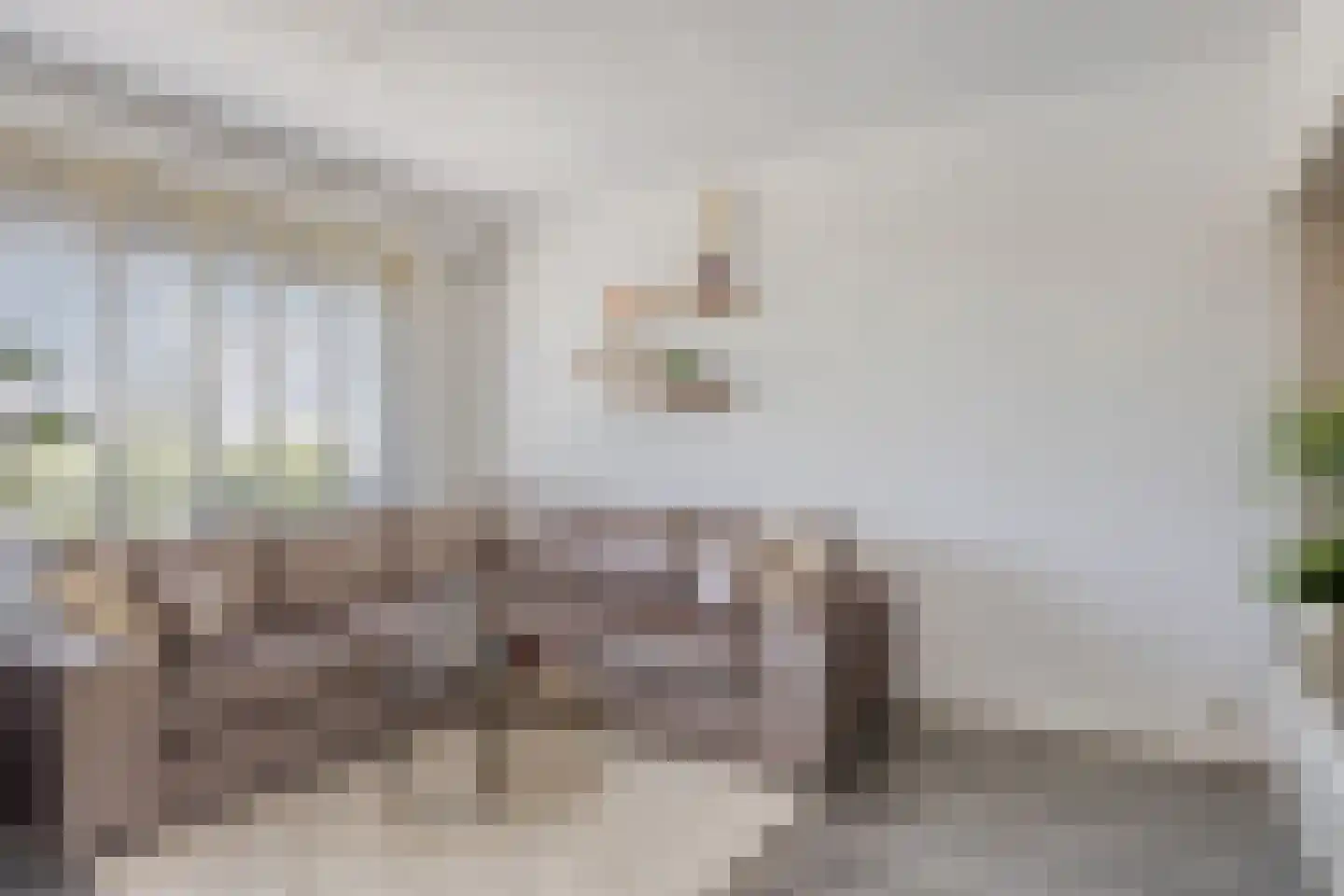 Wijnpeerstraat 77 Eindhoven thumbnail 14