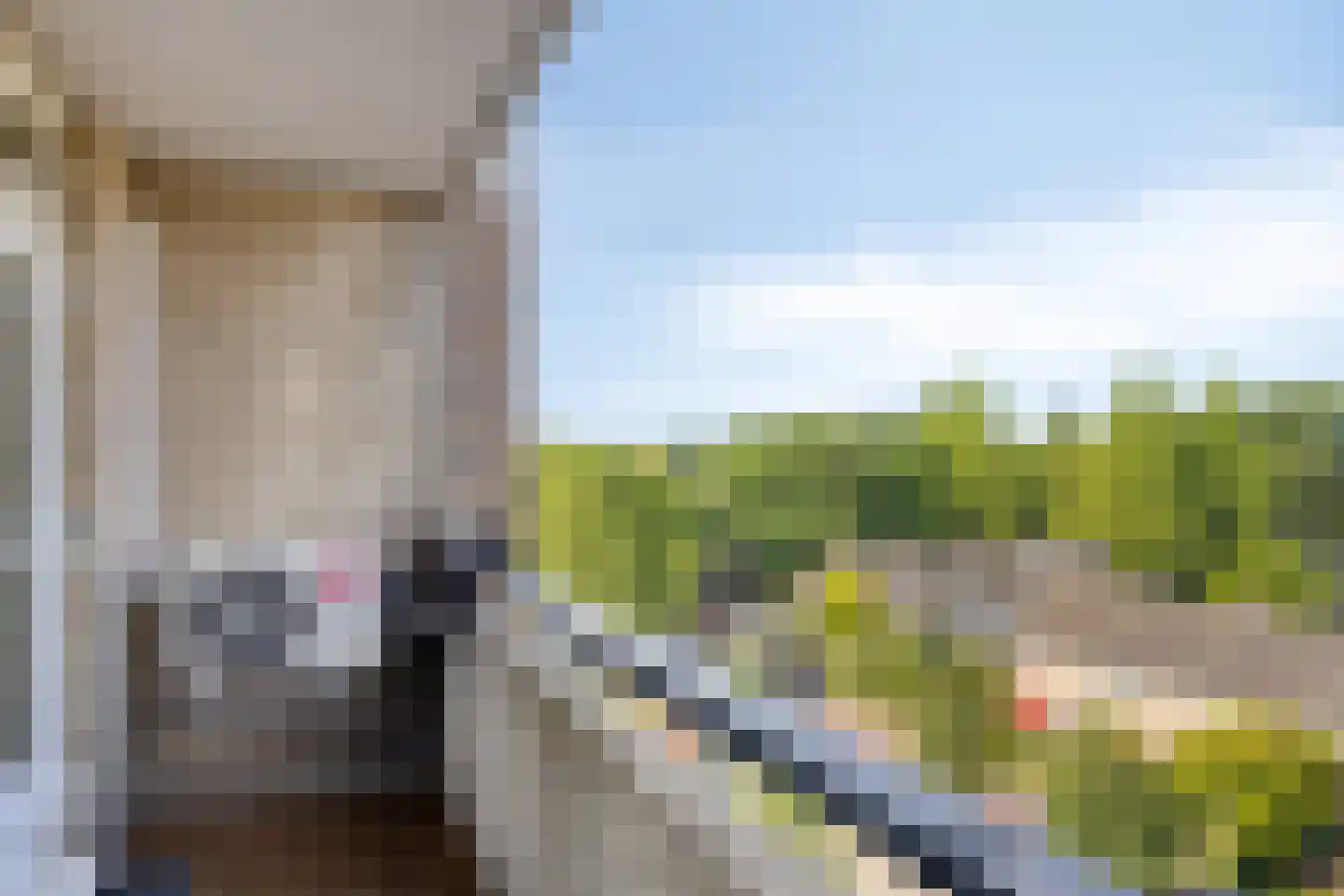 Wijnpeerstraat 77 Eindhoven thumbnail 18