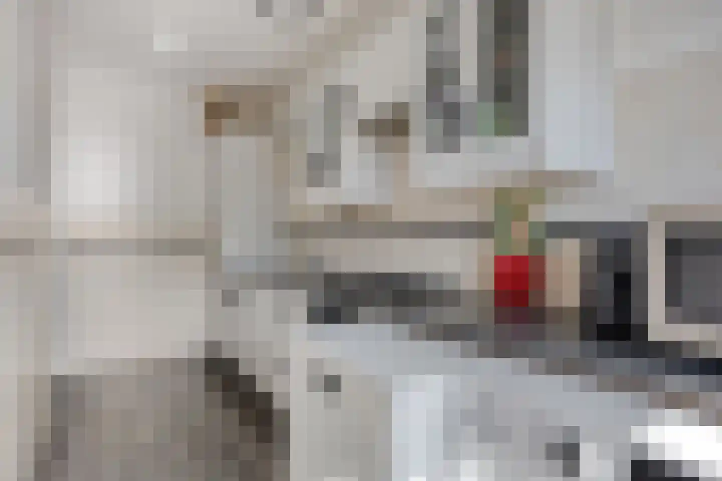 Wijnpeerstraat 77 Eindhoven thumbnail 19