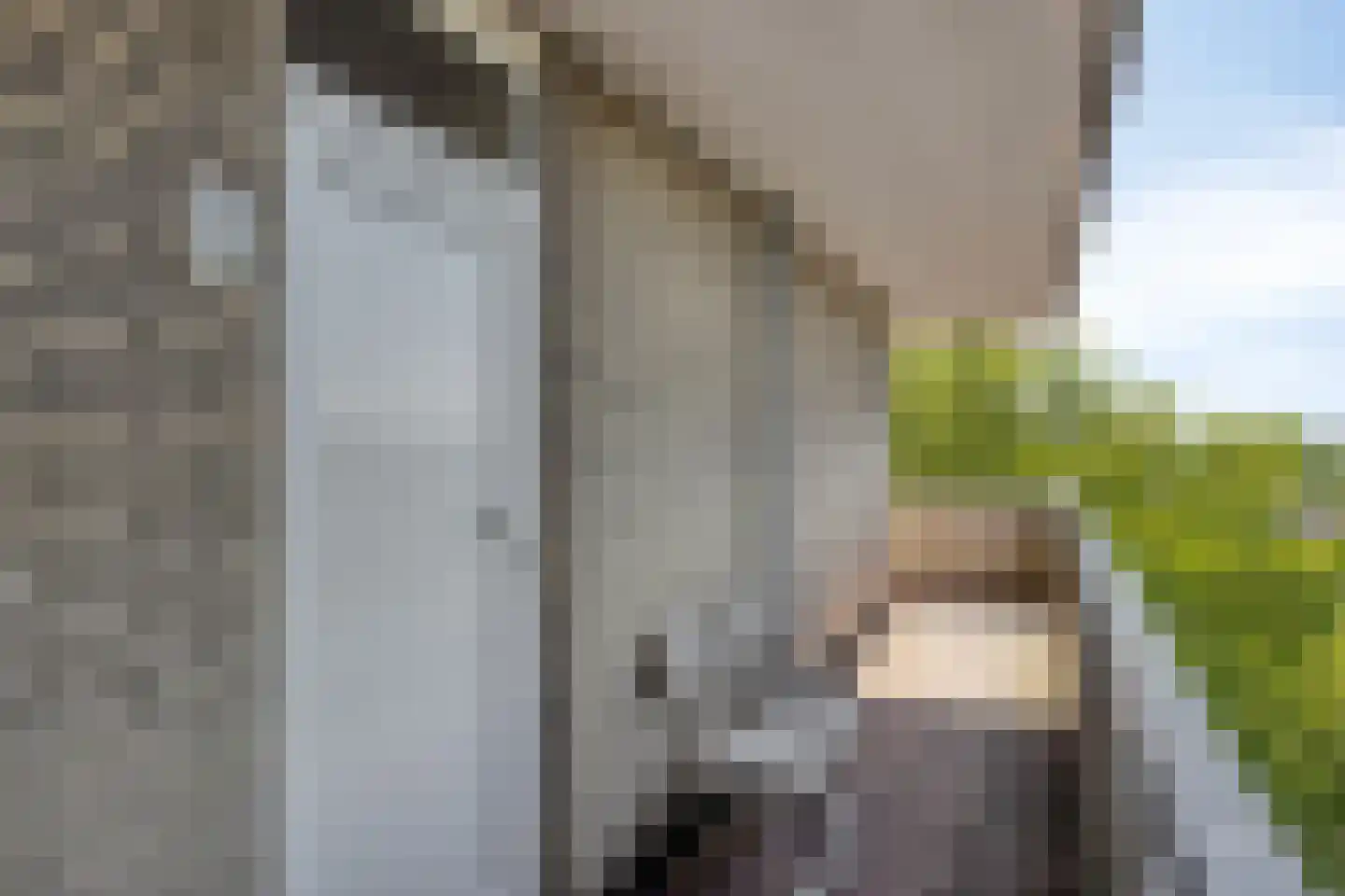 Wijnpeerstraat 77 Eindhoven thumbnail 8