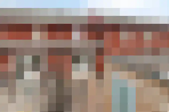 Wijnrank 8 Dronten thumbnail 27