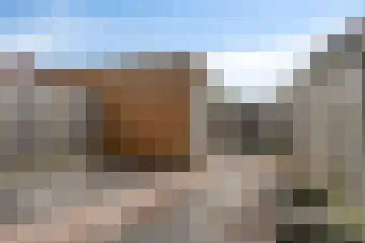 Wijnrank 8 Dronten thumbnail 29