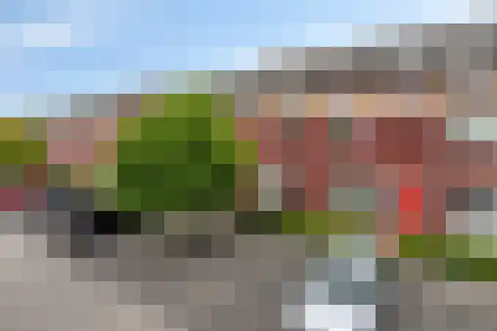 Wijnrank 8 Dronten thumbnail 32