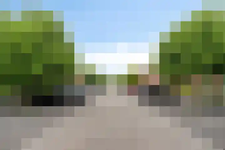 Wijnrank 8 Dronten thumbnail 33