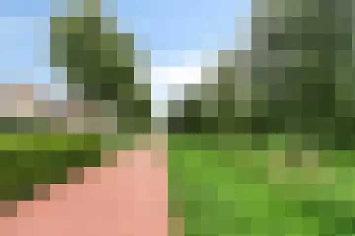 Wijnrank 8 Dronten thumbnail 35