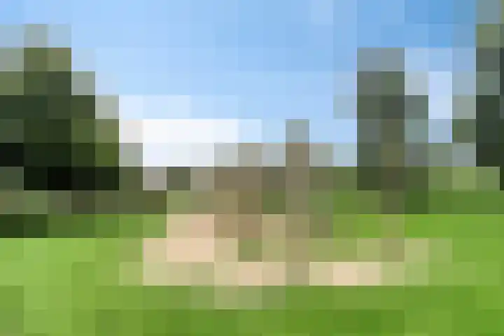 Wijnrank 8 Dronten thumbnail 36