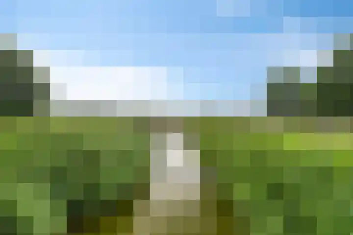Wijnrank 8 Dronten thumbnail 37