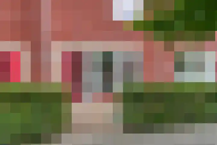 Wijnrank 8 Dronten thumbnail 5