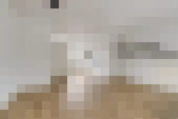 Wijnrank 8 Dronten thumbnail 7