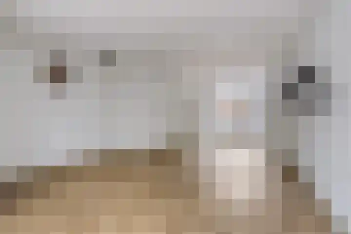 Wijnrank 8 Dronten thumbnail 8