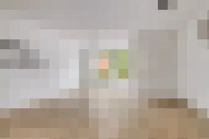 Wijnrank 8 Dronten thumbnail 9
