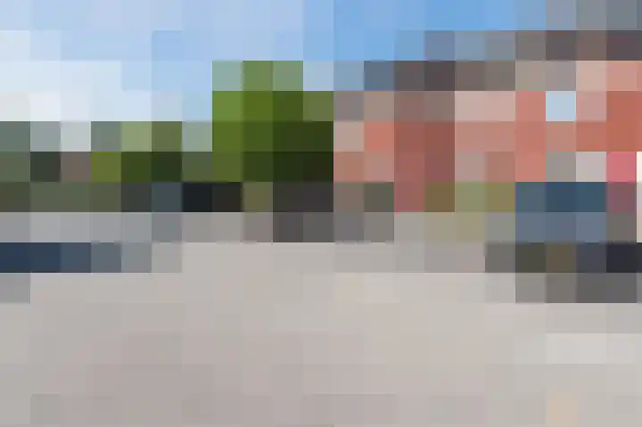 Wijnrank 9 Dronten thumbnail 37