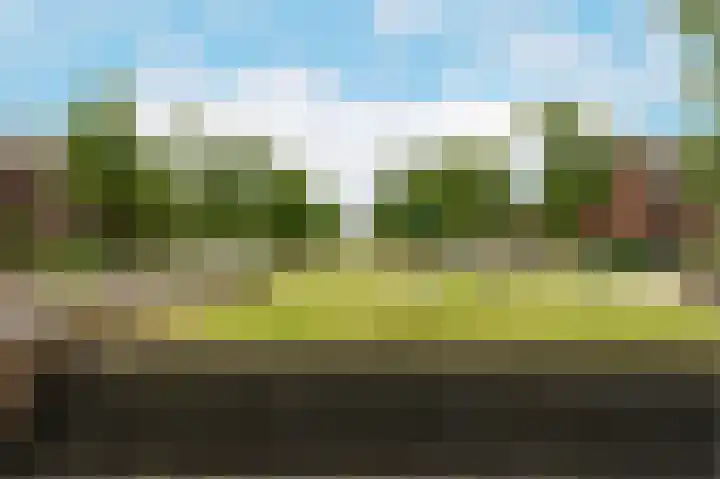 Wijnrank 9 Dronten thumbnail 39