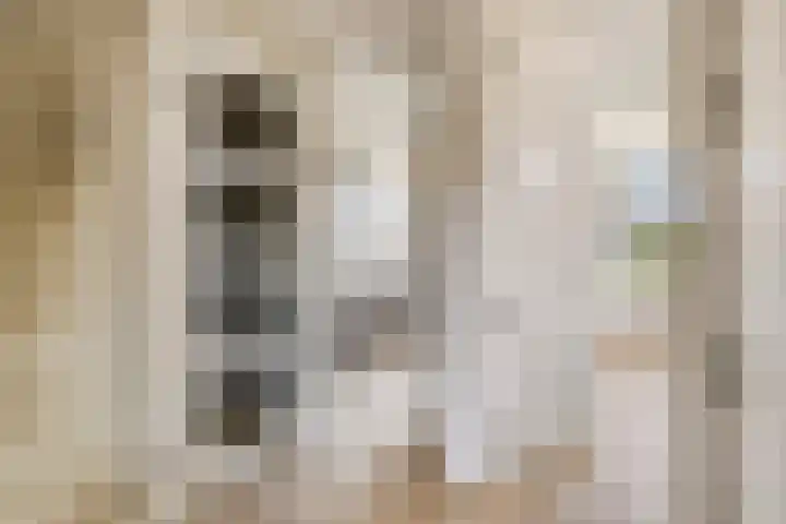Wijnruit 12 Oosterhout thumbnail 14